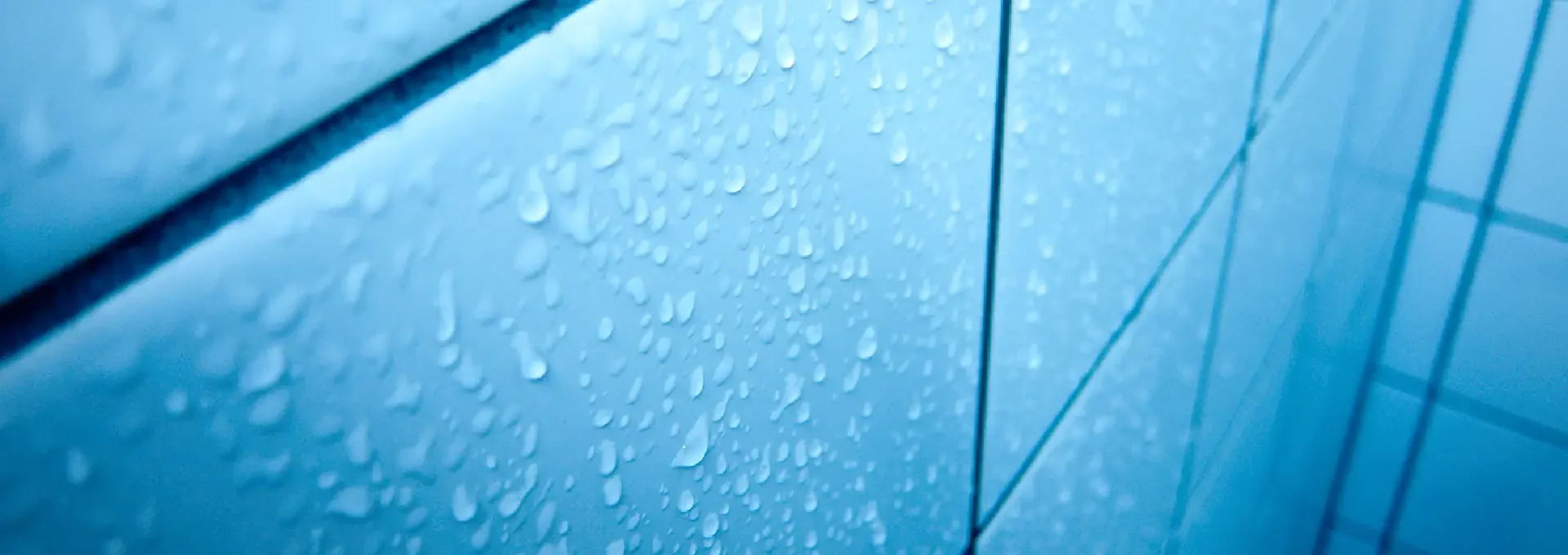 איך להוציא כתמי עובש ולחות מבגדים — המדריך המלא