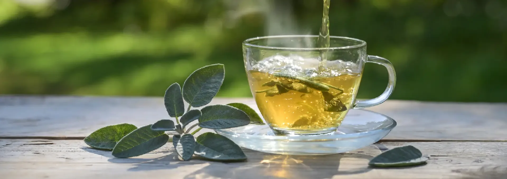 איך להוציא כתמי תה מבגדים, ספלים ושטיחים — המדריך המלא